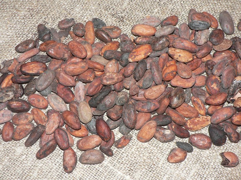 Densidad natural